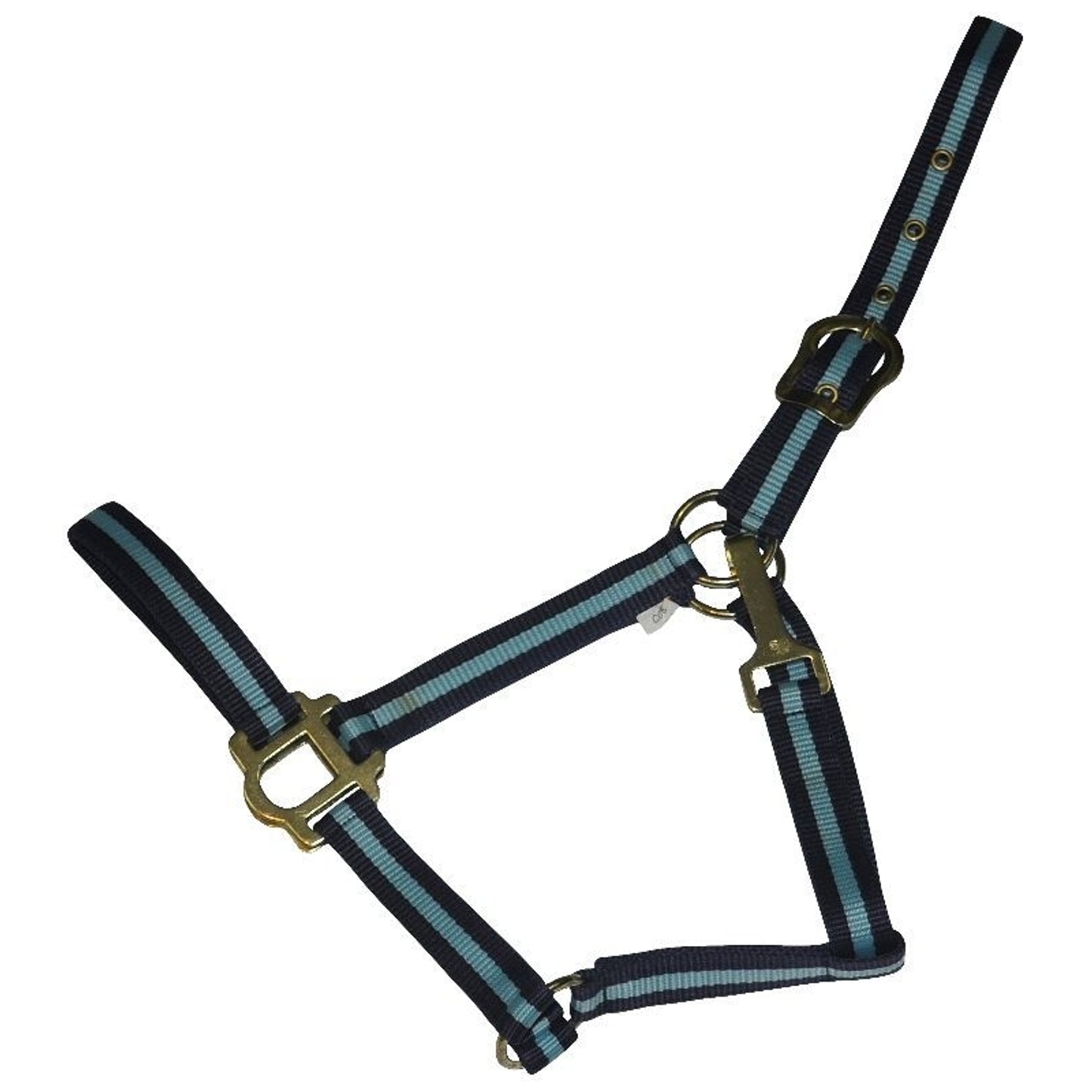 TE027991_797250.jpg