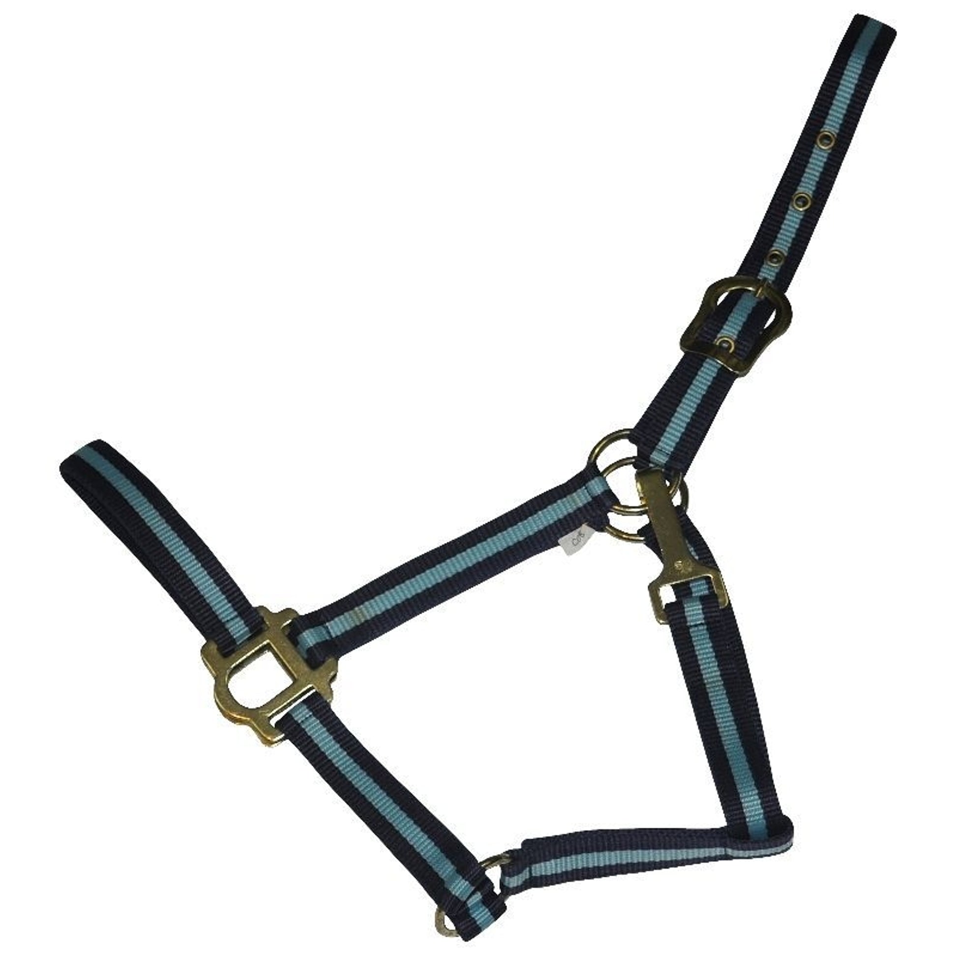 TE027991_797250.jpg